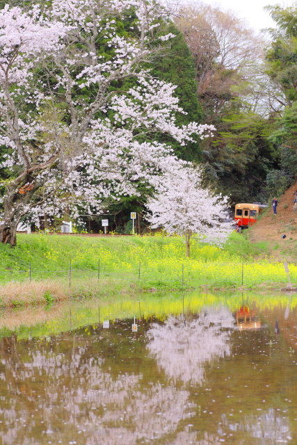 新しいジャンルの撮影