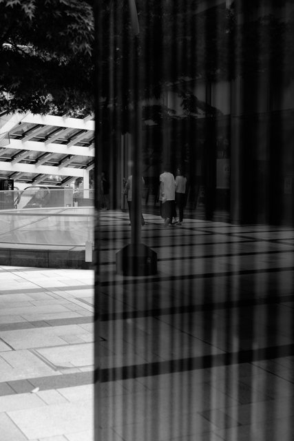 写真と触れ合う