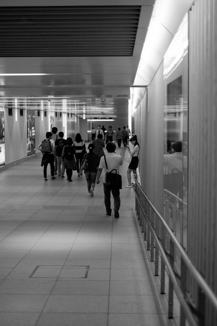 写真と触れ合う