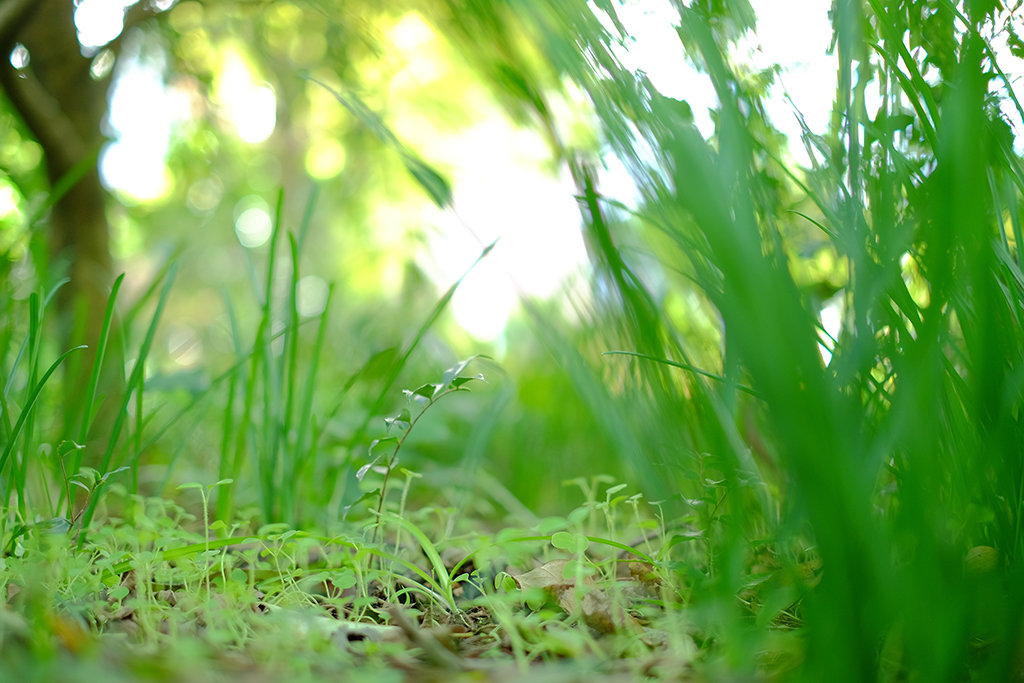 私のX-T1の撮影スタイル