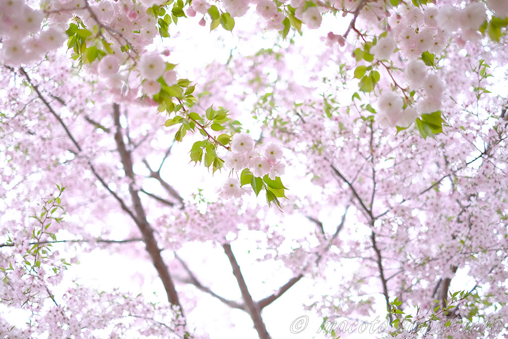 「最高の人生を引き寄せるには自分を愛するだけでいい」ホールデン・ロバート