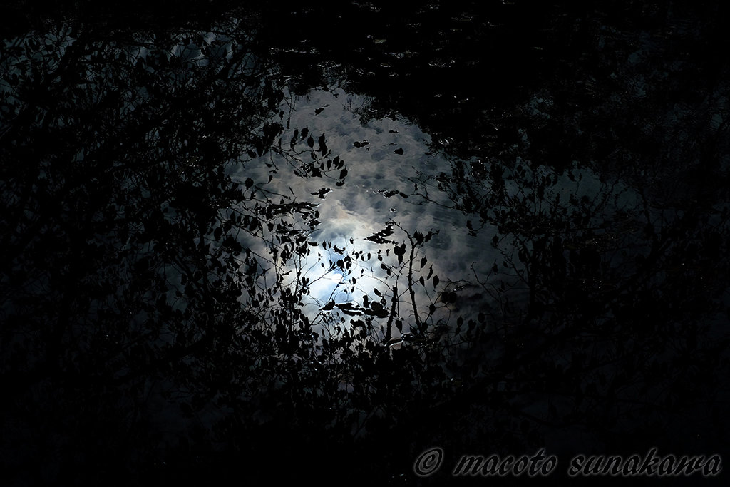 写真展を振り返って