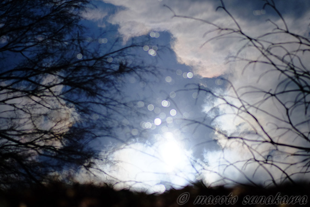 写真展を振り返って