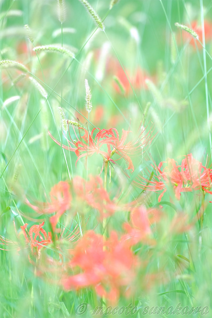 手振れ補正は必要か？