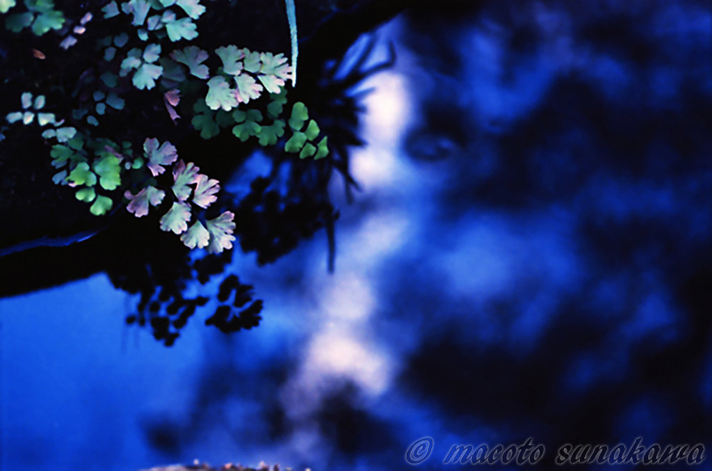 手振れ補正は必要か？