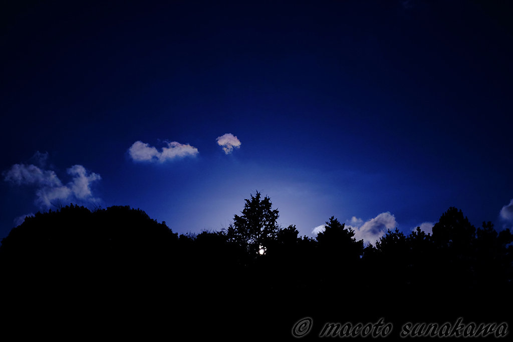 1枚のキャンバス