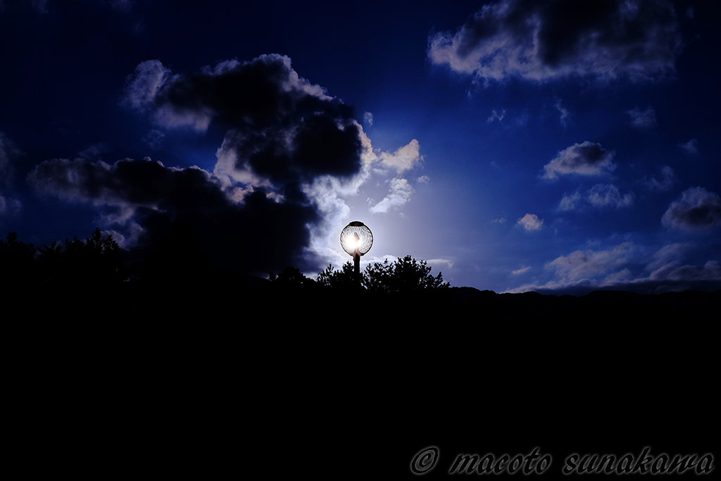 1枚のキャンバス