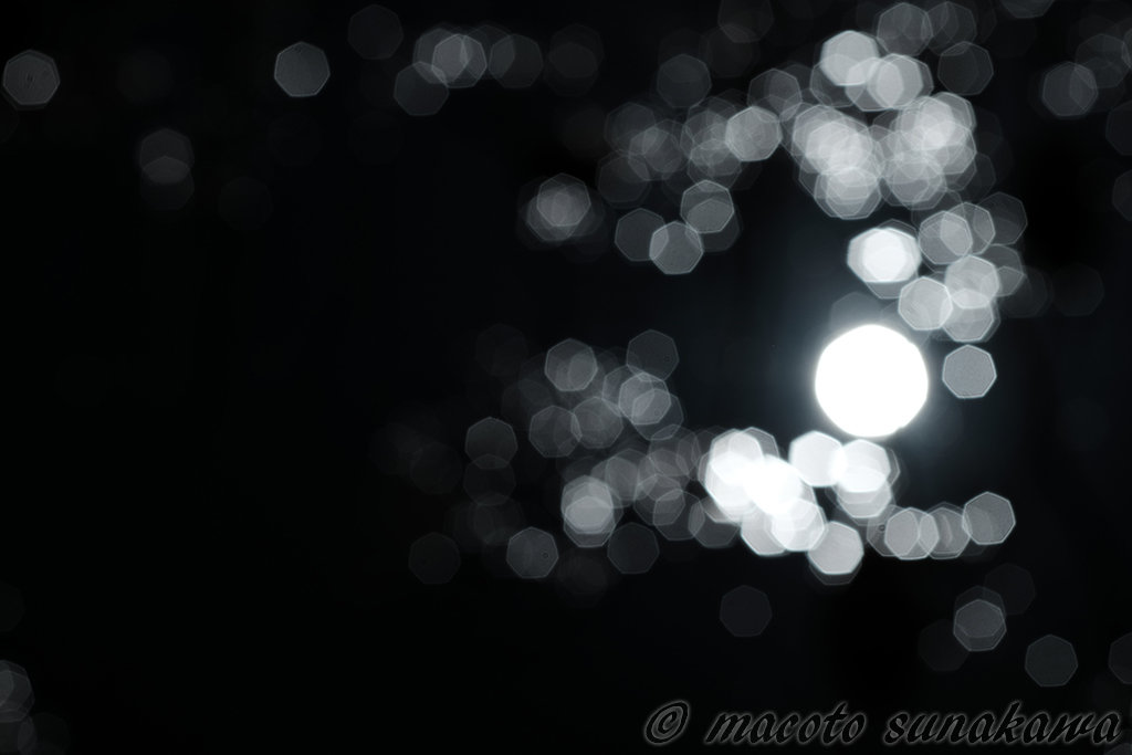 写真をプリントすること、見せること