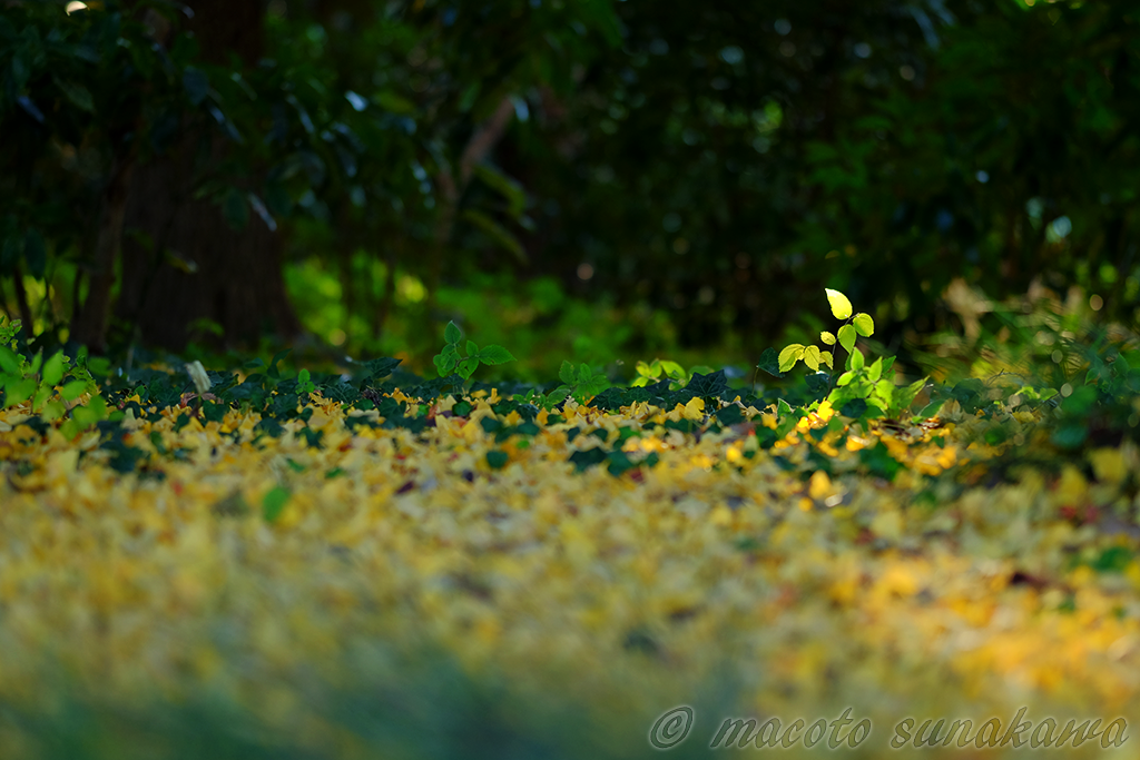 一番の上達方法