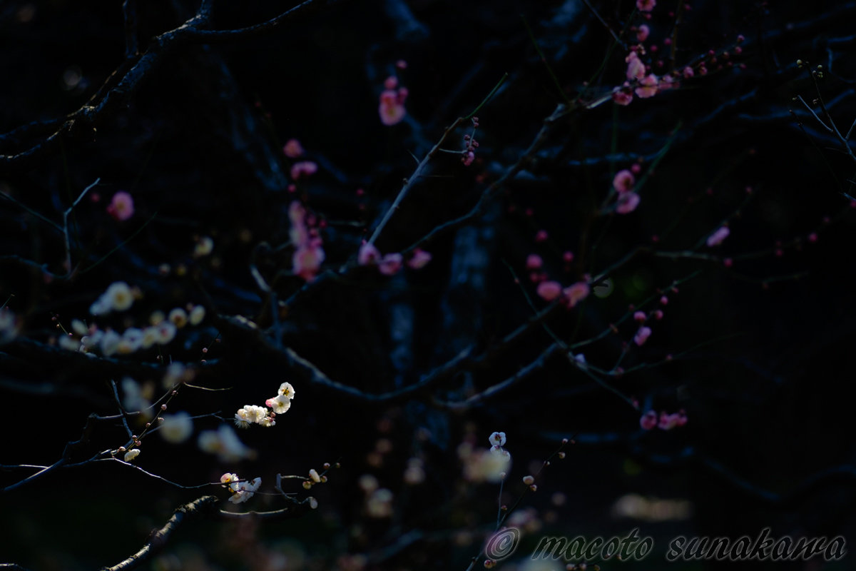 絵を描くように