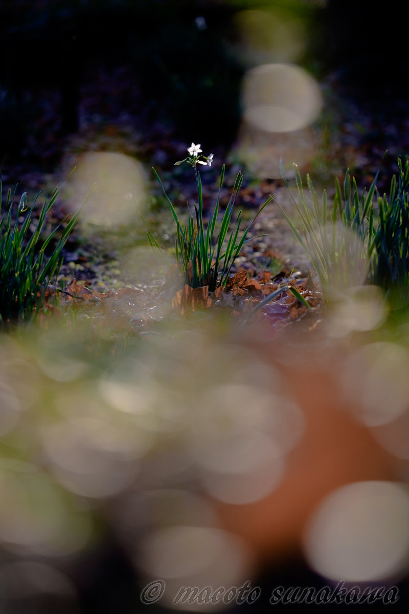 絵を描くように