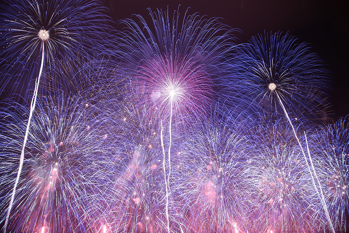 花火の魅力