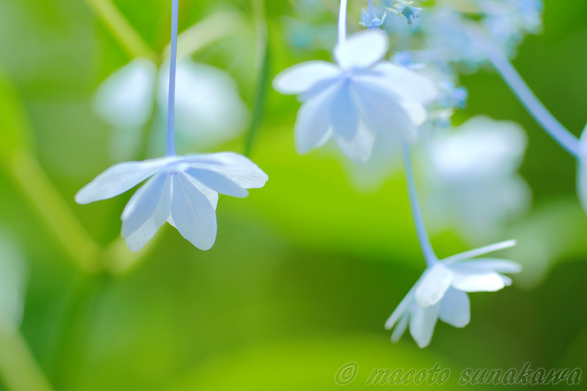 リクエスト個人レッスンのご感想いただきました