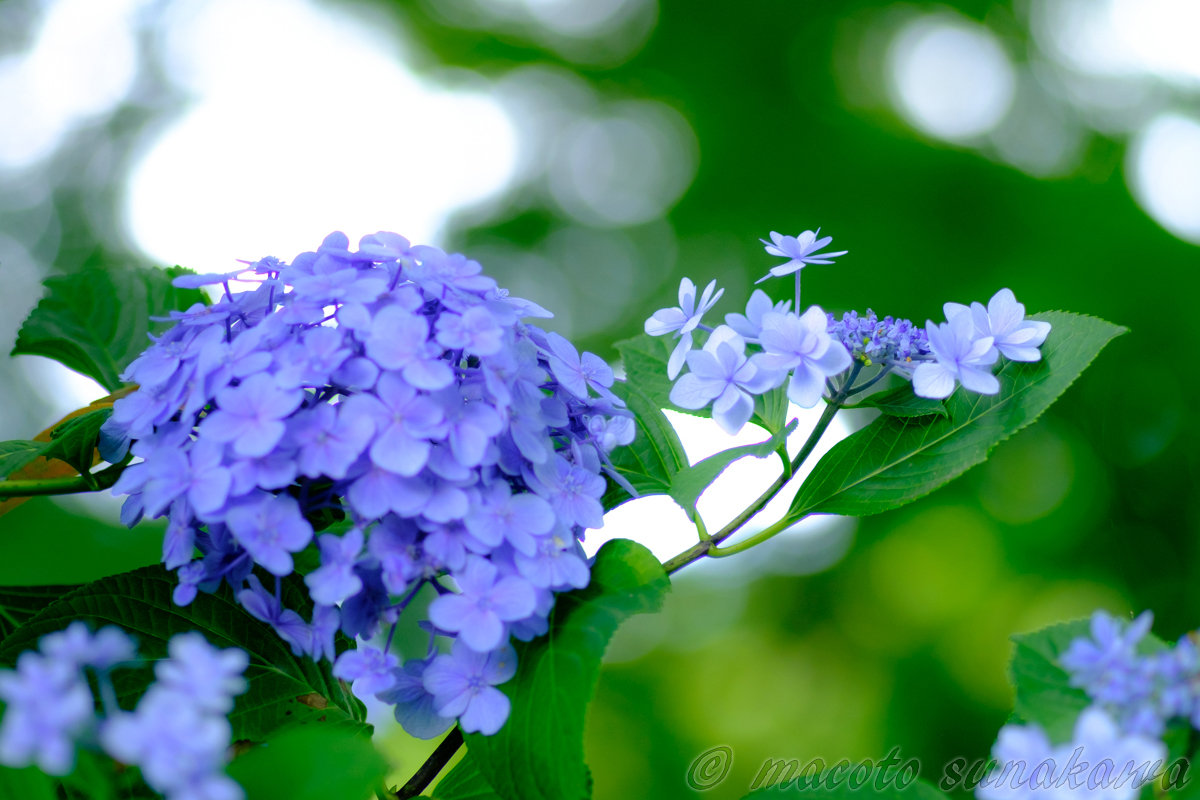 リクエスト個人レッスンのご感想いただきました