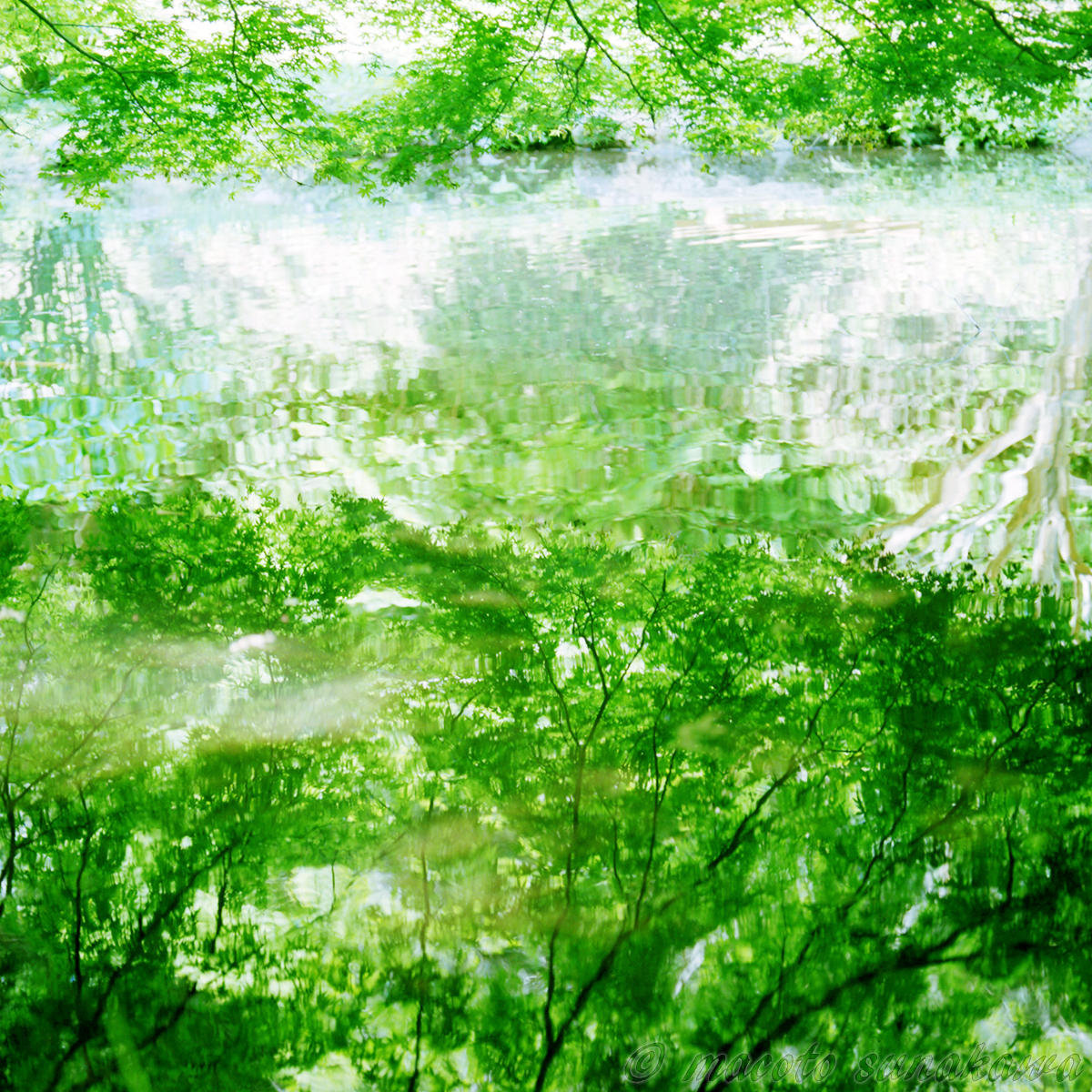 フィルムカメラを使う・フィルムで撮るワークショップ