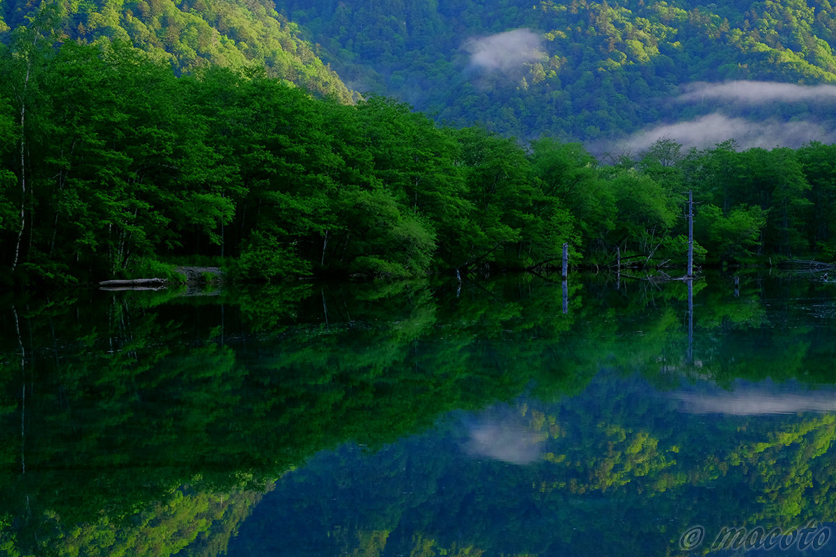 2018年、ありがとうございました！