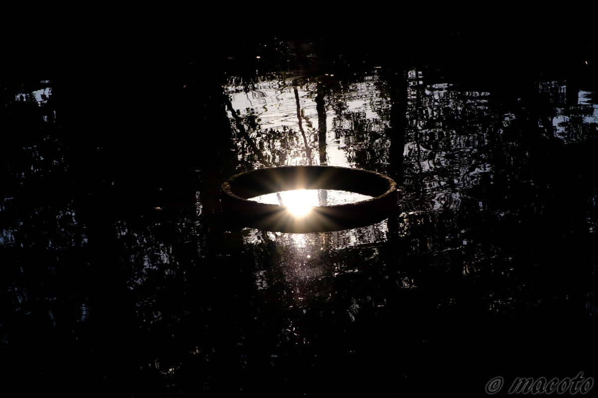 2019年、あけましておめでとうございます♪