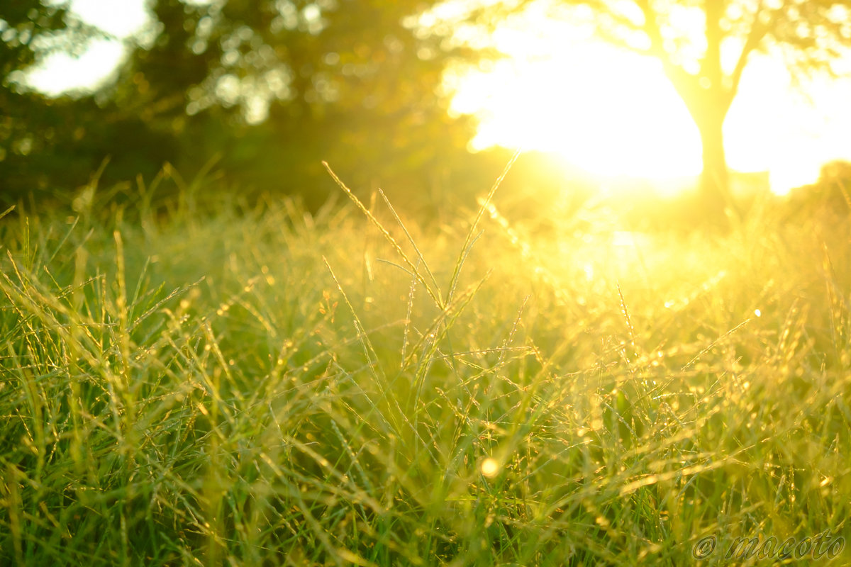 「瞑想のコツ と ミニ講座」を終えて