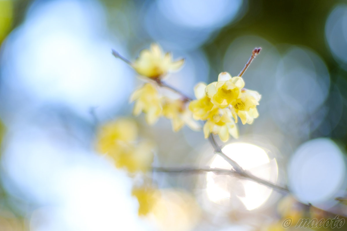 「瞑想のコツ と ミニ講座」を終えて