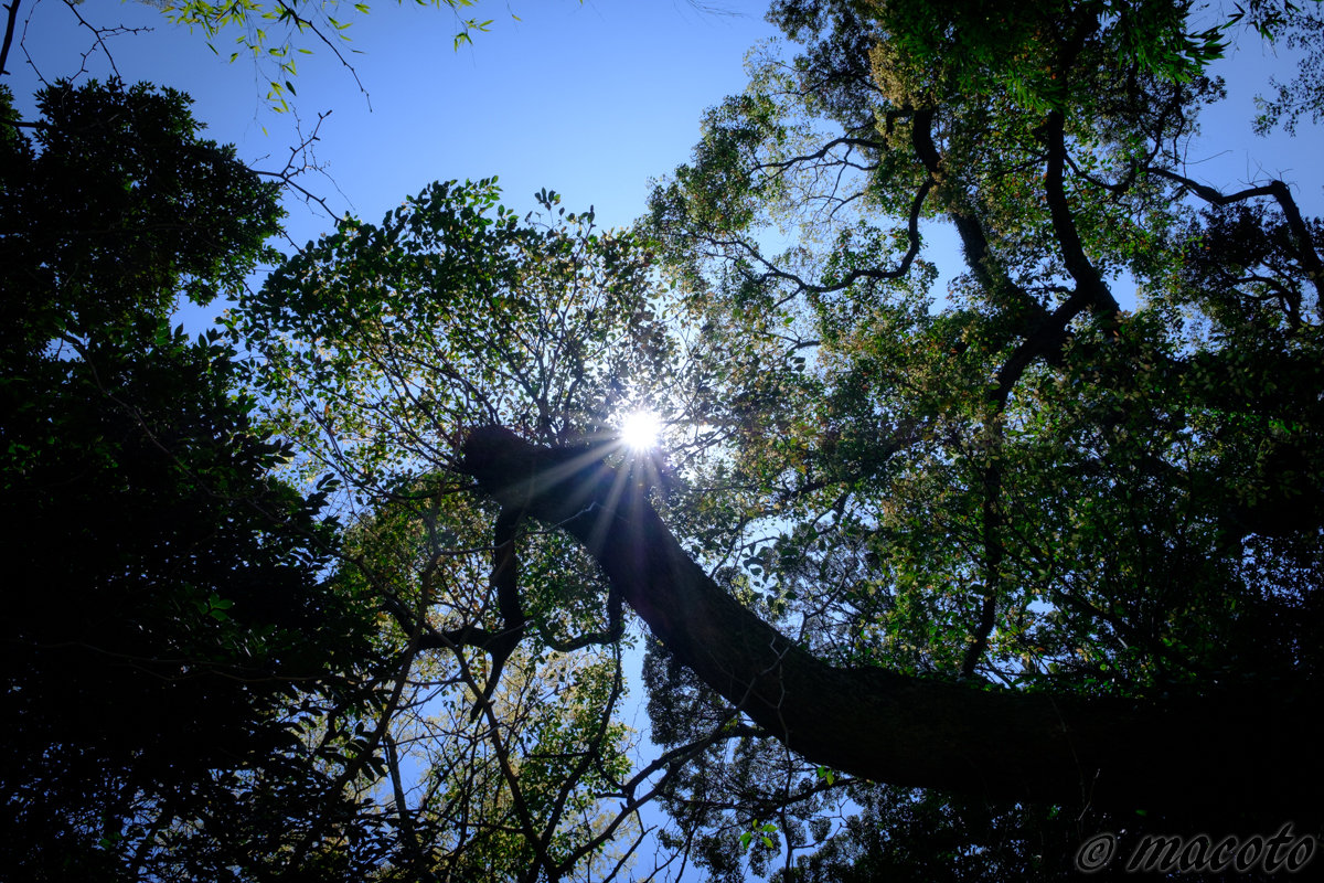 経験するということ