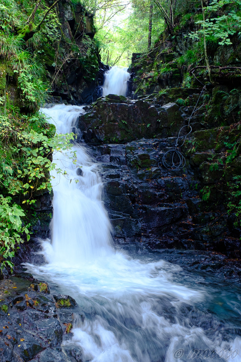 おみくじのお言葉