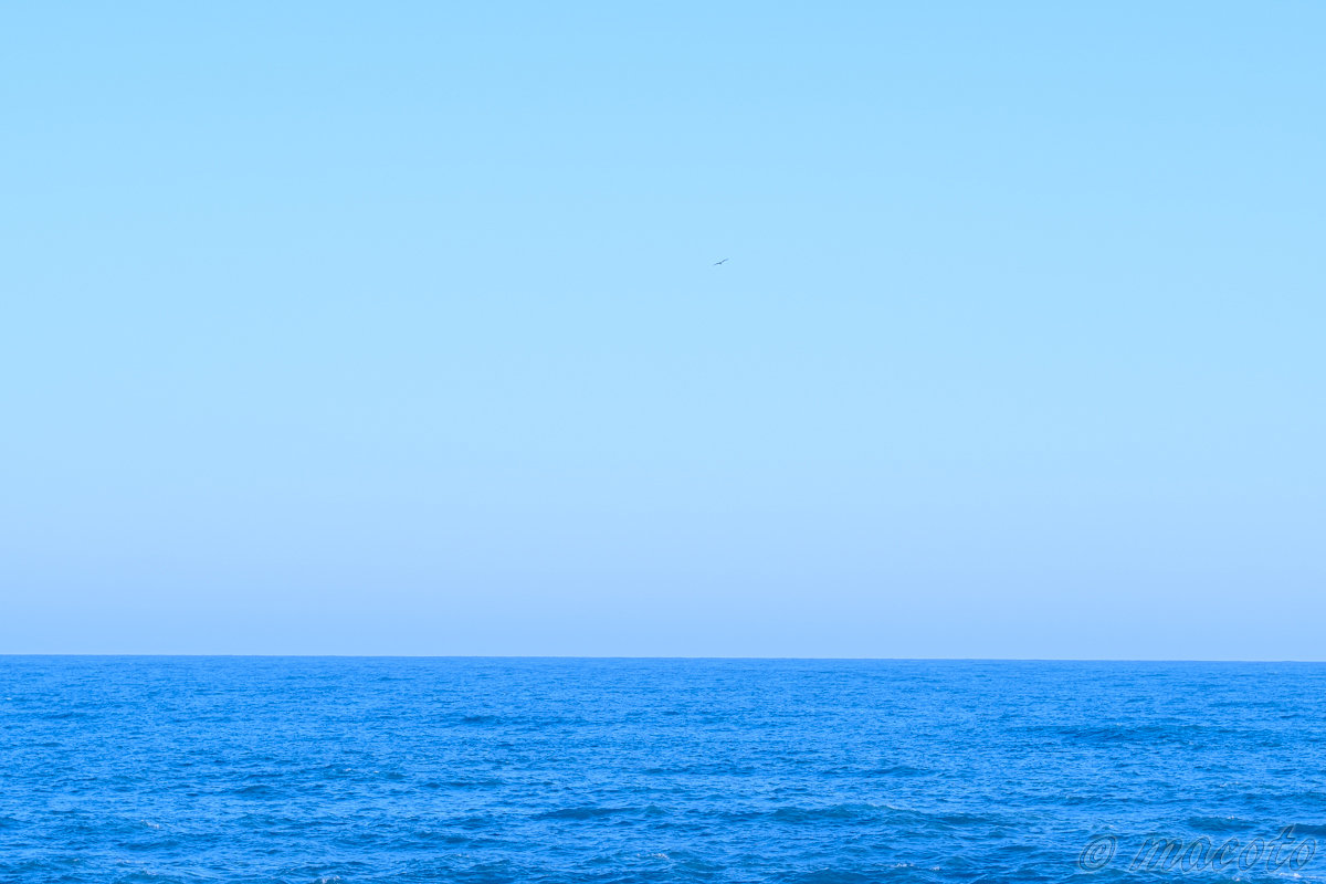 三つ子の魂百まで：海の写真