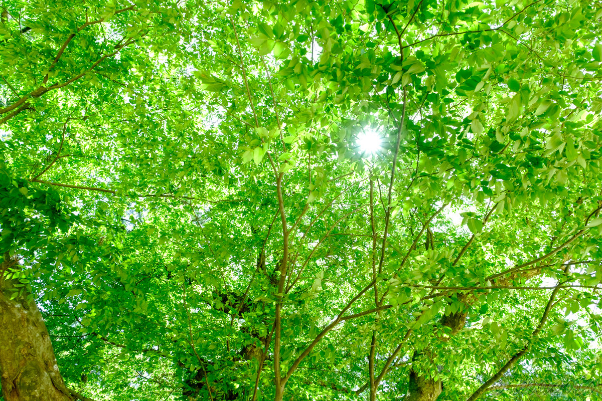 スピリチュアルってなに？