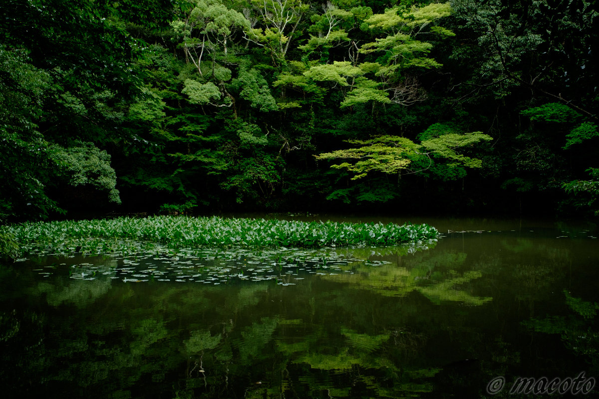 言葉のエネルギー