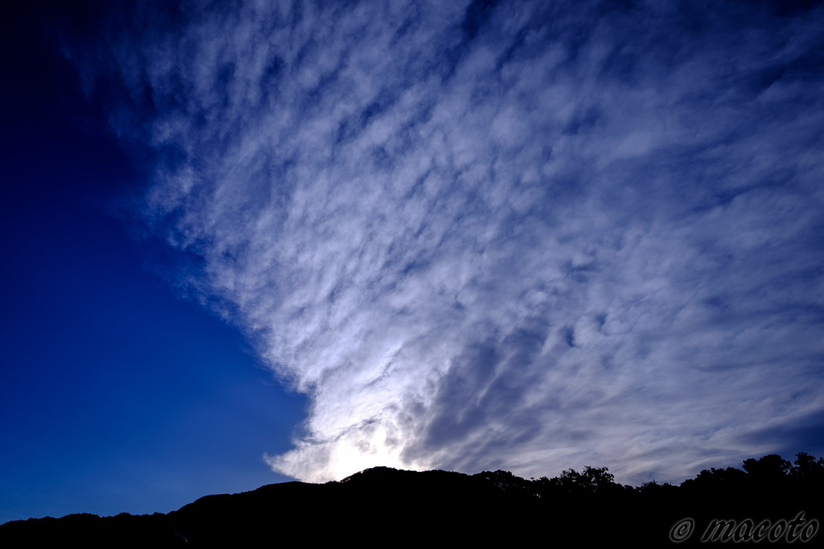 サイン、私のマイルール