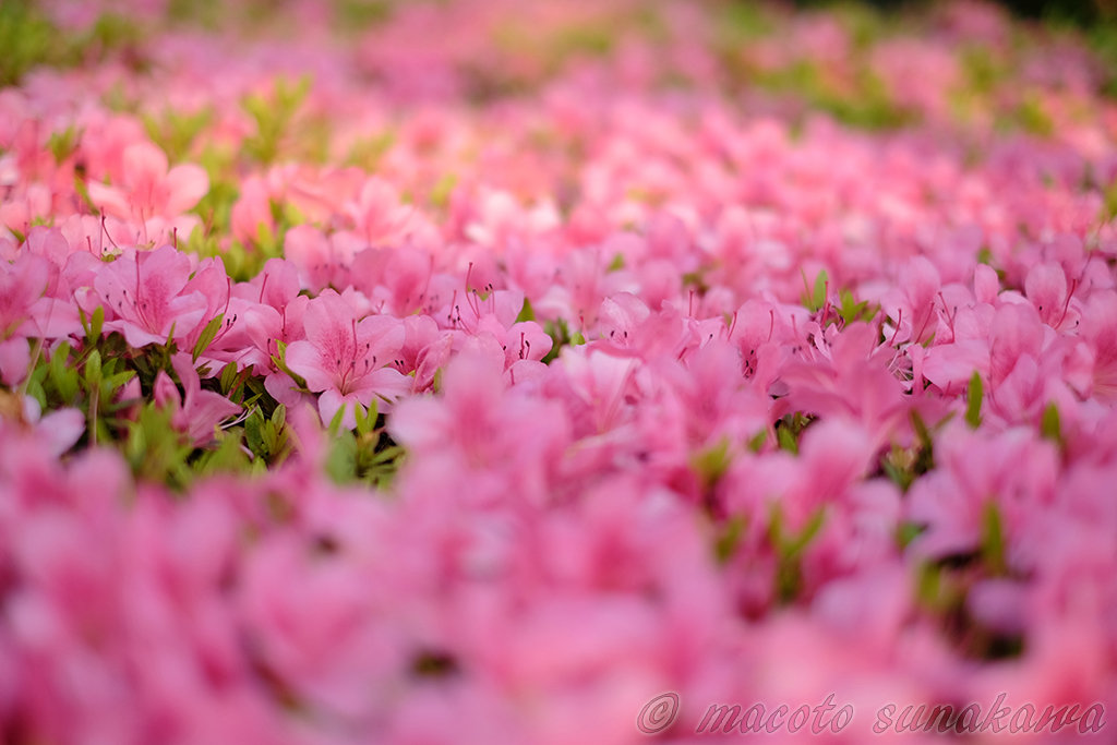 第六感って何を感じる？