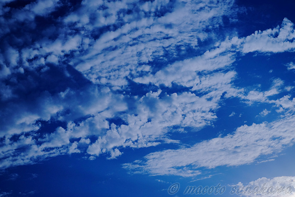 続 夢の中の少女