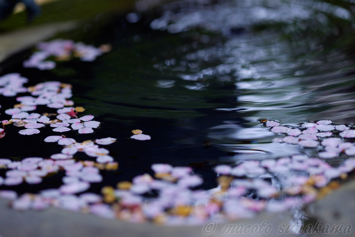 続 夢の中の少女