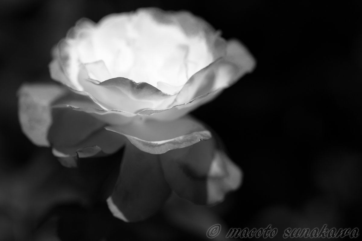 幼少のころからの感覚