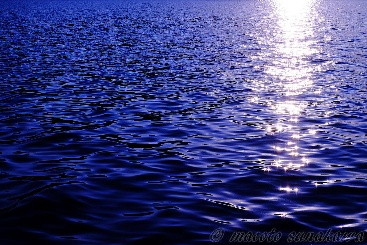 フィルムカメラを使う・フィルムで撮るワークショップ