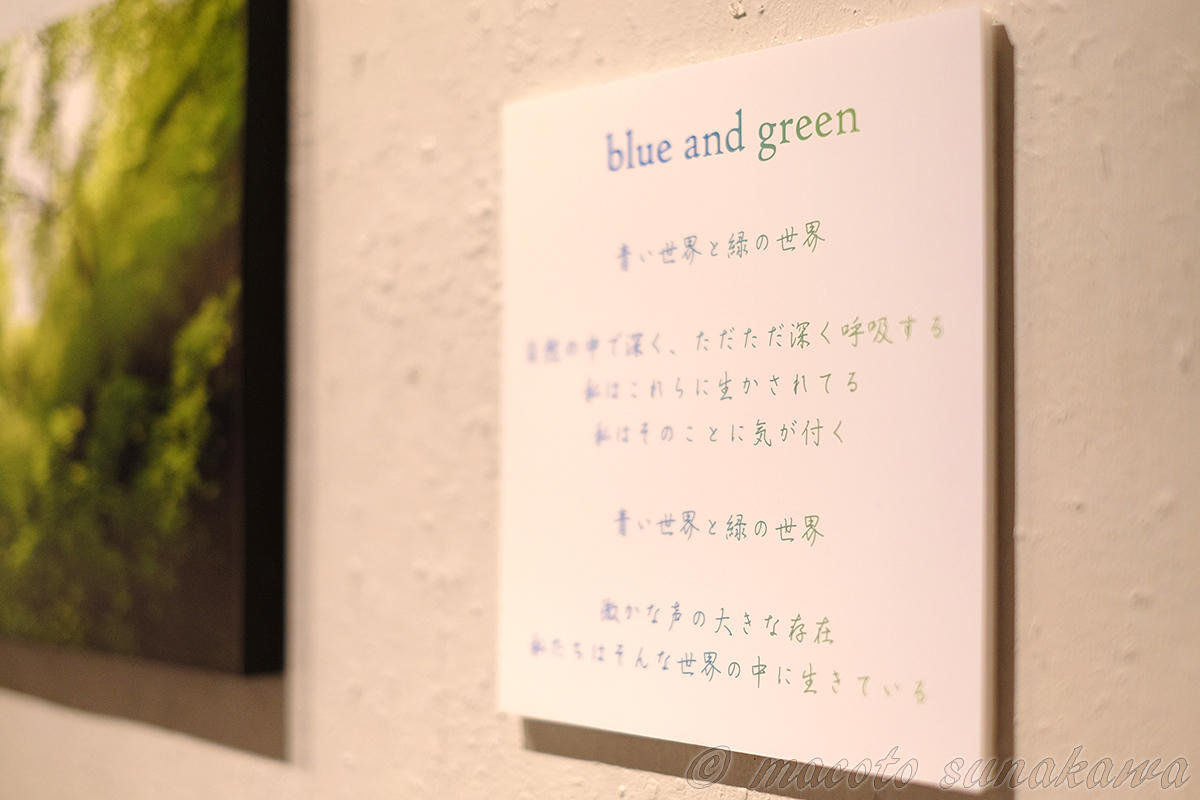 写真展「blue and green」終了しました