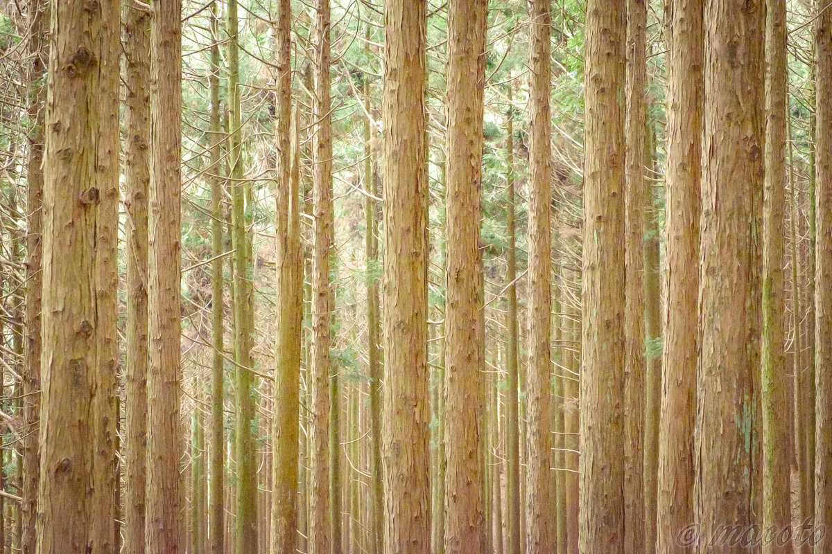 スピリチュアルってなに？