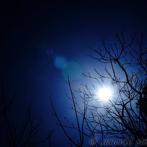 それがある限り