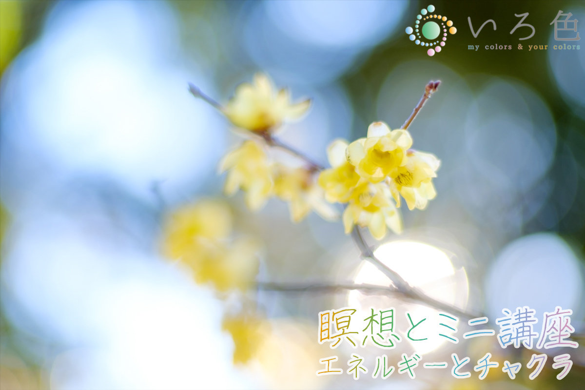 「瞑想 と ミニ講座（チャクラとエネルギー）」のイメージ