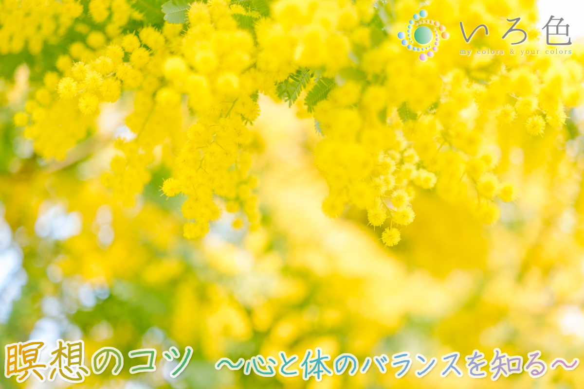 「瞑想のコツ ～心と体のバランスを知る～」のイメージ