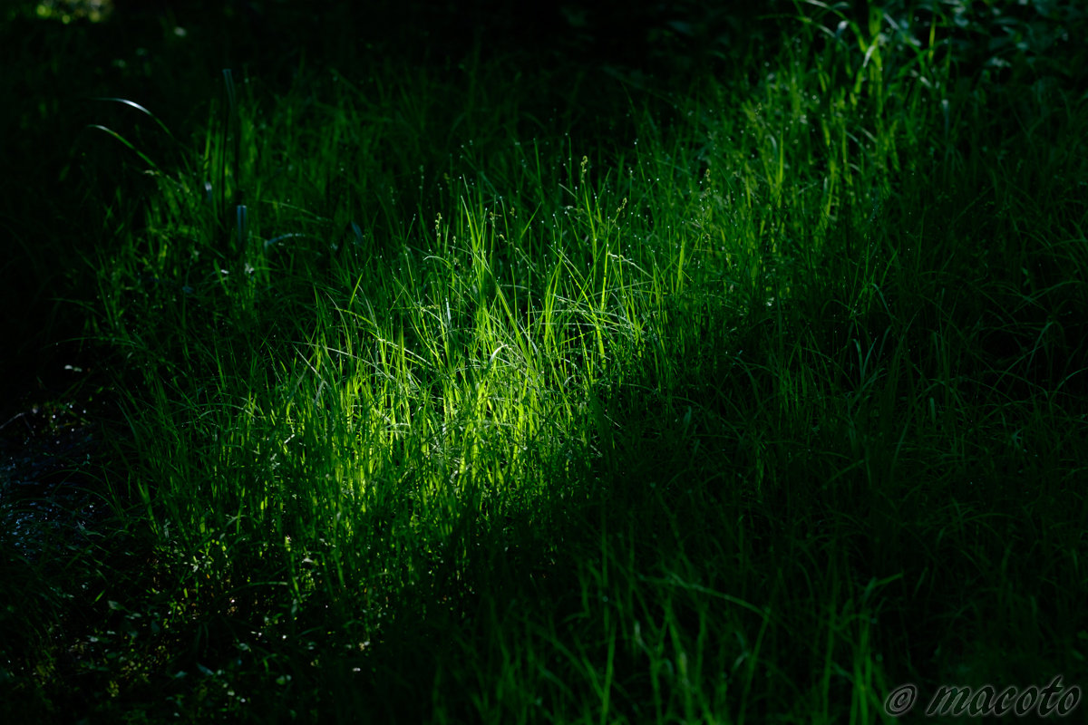 「オープンハートセッション ～心を開放し、あなたらしく生きるために～」のイメージ