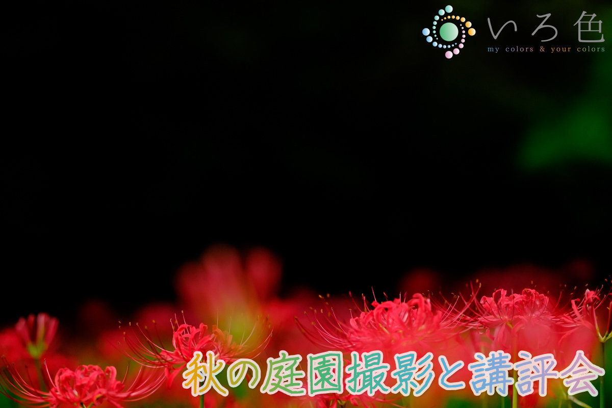 「写真教室：秋の庭園撮影と講評会」のイメージ